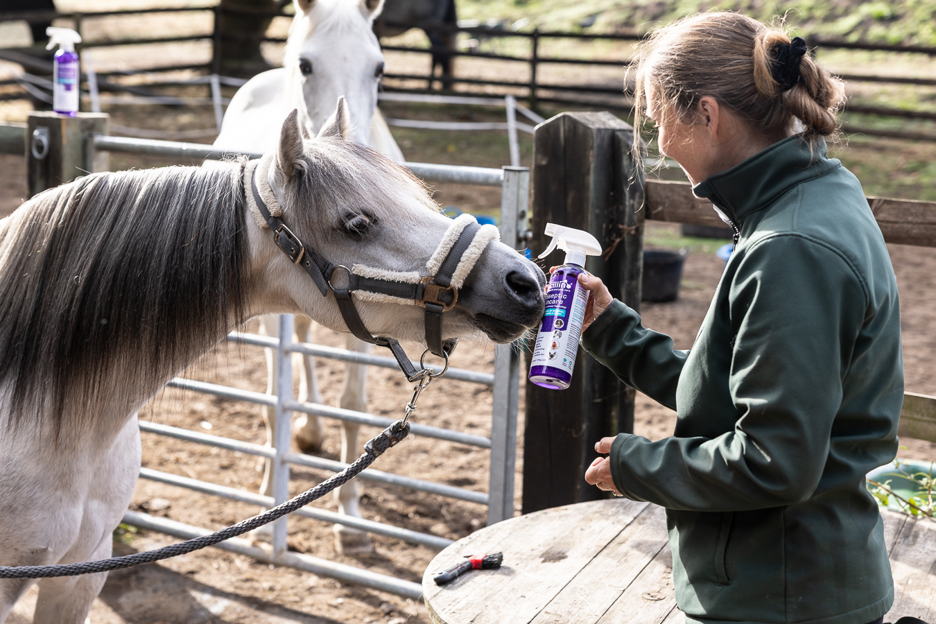 Leucillin y un caballo